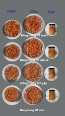 ĐÔNG TRÙNG HẠ THẢO LOẠI 3 Hộp 10gr