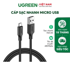 Dây micro USB đầu mạ Nickel 0.25M 60149