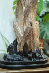 Trầm cảnh vườn đại sơn