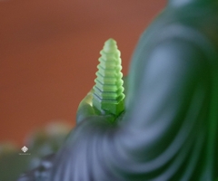 Tượng Đức Phật Dược Sư cầm bảo tháp lưu ly xanh lá 12.5cm