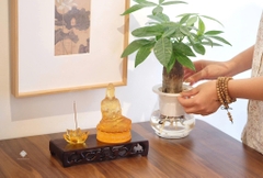 Góc an Quan Âm Bồ tát lưu ly vàng 13 cm