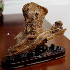 Trầm cảnh dòng chảy thanh danh