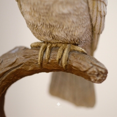 Tượng đồng vẹt mào hướng dương