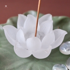 Bộ lá, hoa sen và giọt nước lưu ly