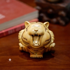 Bé hổ xoè chân khoẻ vui