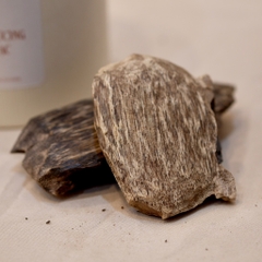 Trầm miếng rừng già Tiên Phước 20gram