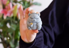 Mèo đá sa thạch tiếu quạu giang hồ