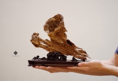 Trầm cảnh dòng chảy thanh danh