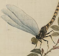 Tranh in canvas Xuân An 34x42cm