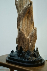 Trầm cảnh vườn đại sơn