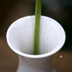 Bình hoa sen cổ điển sứ trắng 20cm