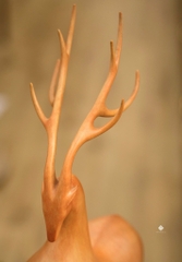 Hươu đồng chiêu lộc