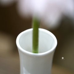 Bình hoa sen sứ trắng 20cm