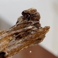 Trầm cảnh dòng chảy thanh danh