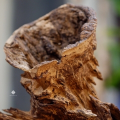 Trầm cảnh dòng chảy thanh danh