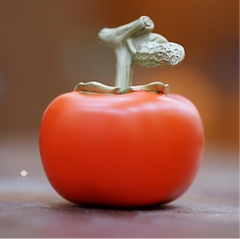 Tượng đồng lạc hồng dưỡng hạnh