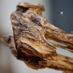 Trầm cảnh dòng chảy thanh danh