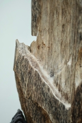 Trầm cảnh vườn đại sơn