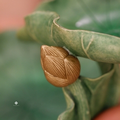 Lư đồng hoạ mi lá sen nhỏ