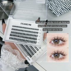 Mi chùm trụ quỷ nhỏ