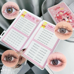 Mi dưới hỗn hợp keo sẵn D199