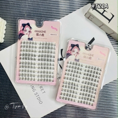 Mi cụm hướng dương