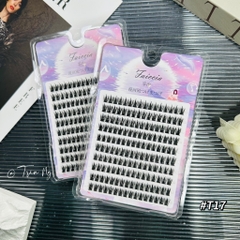 Mi cụm hình chóp