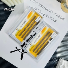 Combo mi đuôi cá mềm mại