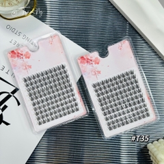 Mi phân đoạn vương miệng