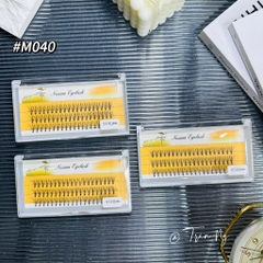 Mi Chùm Trụ Vàng