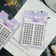 Mi hướng dương đôi