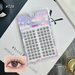 Mi hướng dương đôi