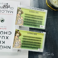 Mi đuôi cá đậm