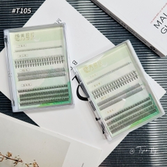Set mi hỗn hợp