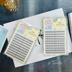 Mi cụm tiên cá
