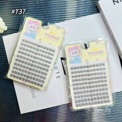 Mi cụm tiên cá