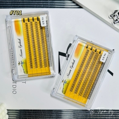 Mi đuôi cá mềm mix size
