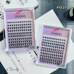 Mi T19 hộp lớn mixsize