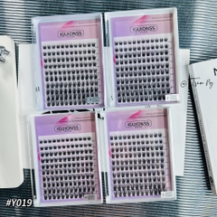 Mi T19 hộp lớn mixsize