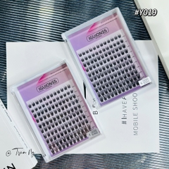 Mi T19 hộp lớn mixsize