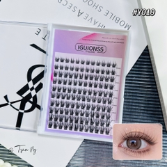 Mi T19 hộp lớn mixsize