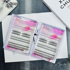 Set mi tổng hợp