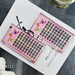 Mi cụm búp bê