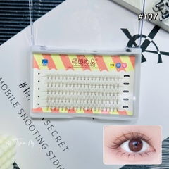 Mi chùm mỏng mix size