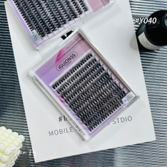 Mi Âu Mỹ 40D