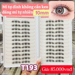 Mi keo sẵn tự nhiên 10mm