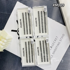 Mi chùm trụ babie dày