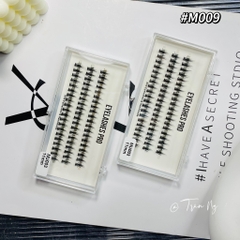 Mi chùm trụ babie dày