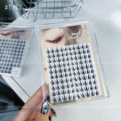 Mi hoạt hình bươm bướm