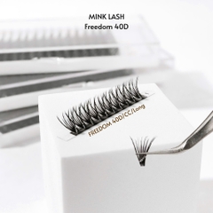 Mi chùm Freedom 40D